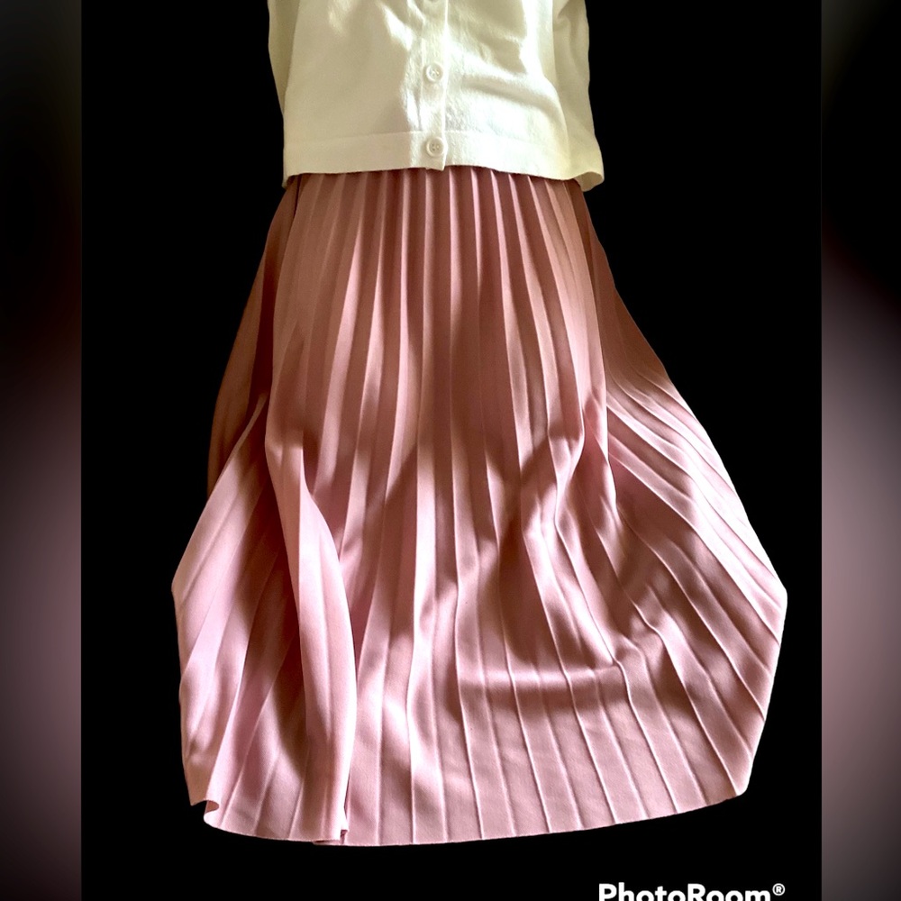 SHEIN Pleated Skirt